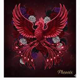 Phoenix