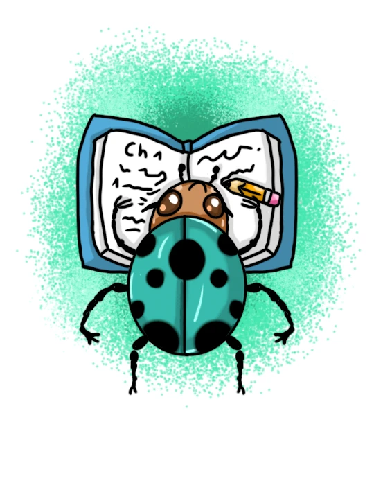 Coccinelle Errante