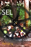 De sel et sang cover